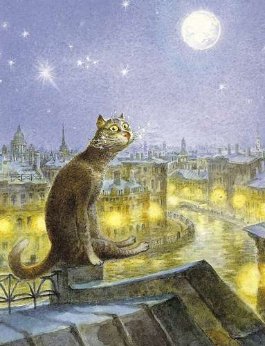 кот картинка