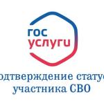 Теперь подтвердить статус участника СВО можно с помощью QR-кода в приложении «Госуслуги»